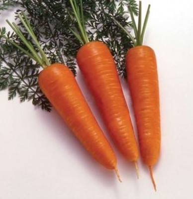 Семена моркови НЬЮ КУРОДА